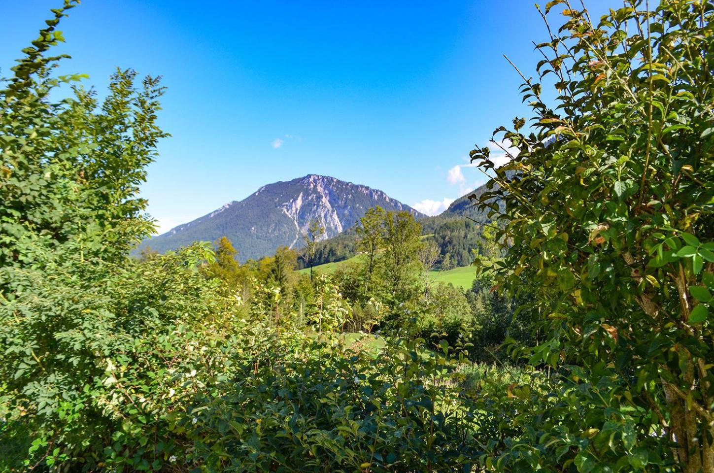 Almbauernhof Lägenhet Ruhpolding Exteriör bild