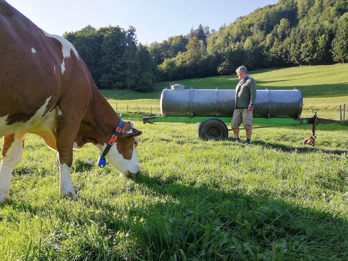 Almbauernhof Lägenhet Ruhpolding Exteriör bild