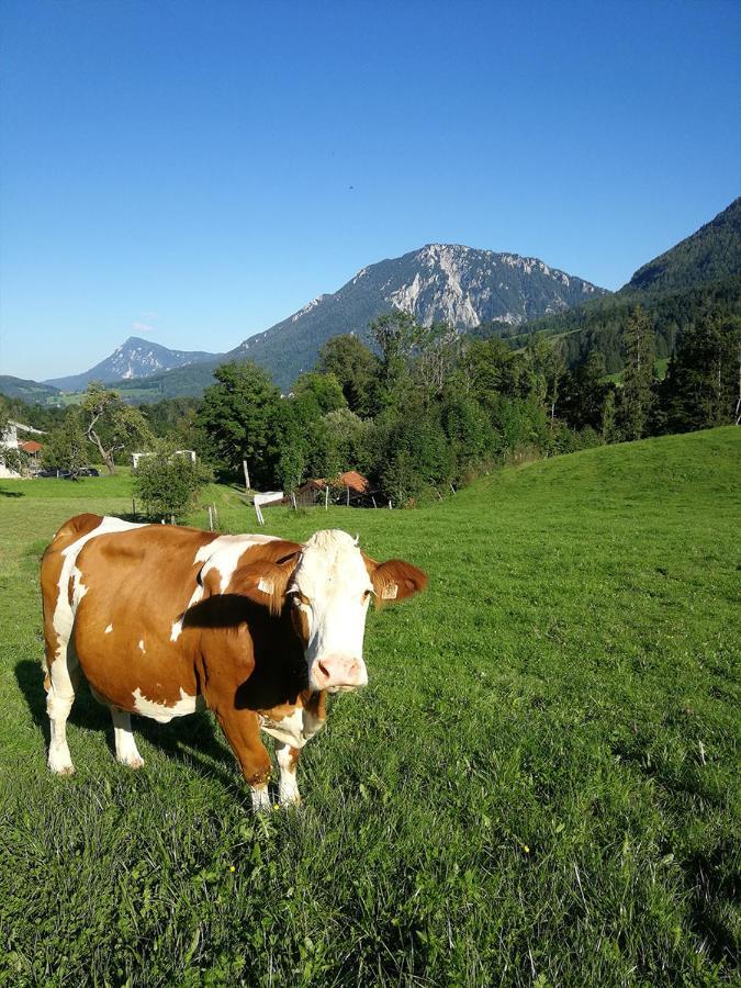 Almbauernhof Lägenhet Ruhpolding Exteriör bild